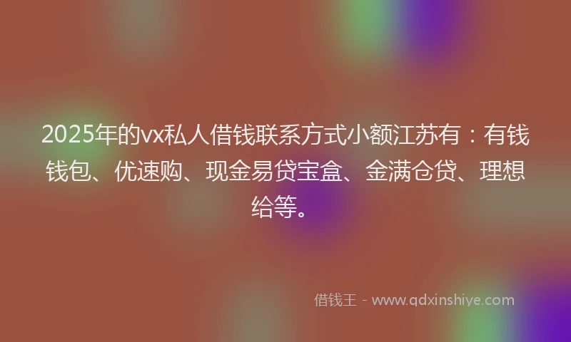 2025年的vx私人借钱联系方式小额江苏有：有钱钱包、优速购、现金易贷宝盒、金满仓贷、理想给等。
