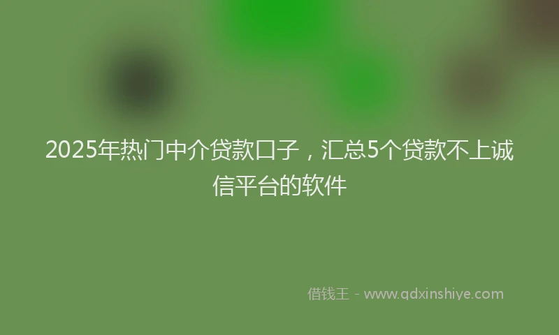 2025年热门中介贷款口子，汇总5个贷款不上诚信平台的软件