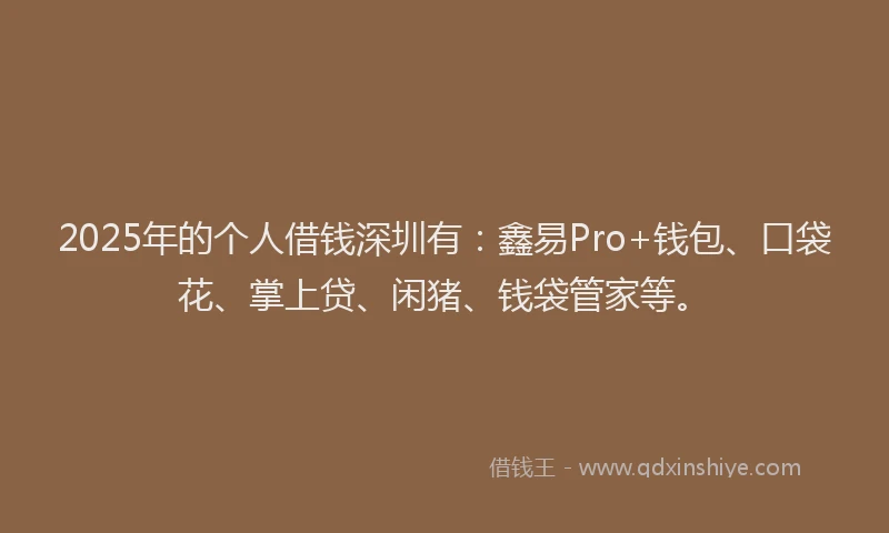 2025年的个人借钱深圳有：鑫易Pro+钱包、口袋花、掌上贷、闲猪、钱袋管家等。
