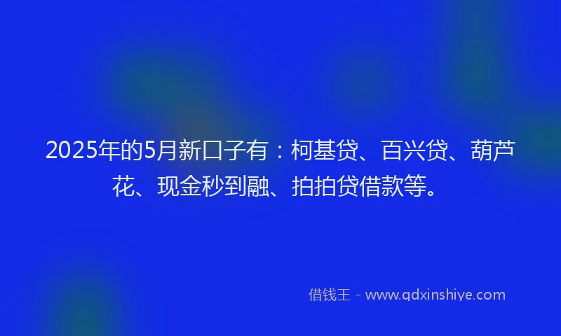 2025年的5月新口子有：柯基贷、百兴贷、葫芦花、现金秒到融、拍拍贷借款等。
