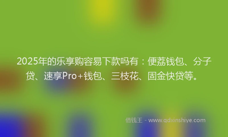 2025年的乐享购容易下款吗有：便荔钱包、分子贷、速享Pro+钱包、三枝花、固金快贷等。