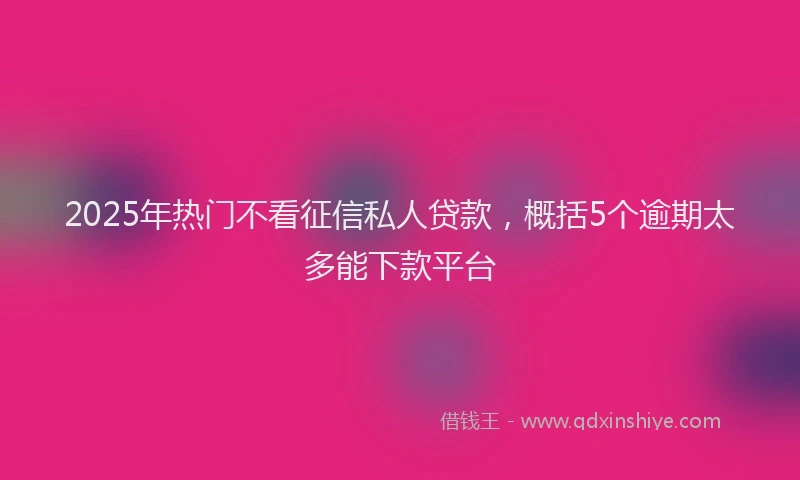 2025年热门不看征信私人贷款，概括5个逾期太多能下款平台