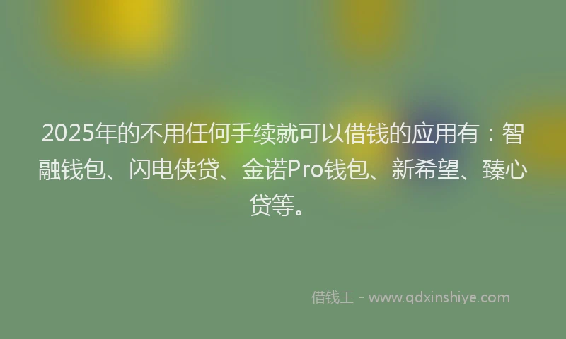 2025年的不用任何手续就可以借钱的应用有：智融钱包、闪电侠贷、金诺Pro钱包、新希望、臻心贷等。