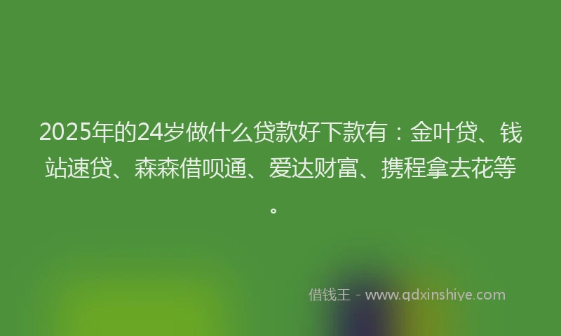 2025年的24岁做什么贷款好下款有：金叶贷、钱站速贷、森森借呗通、爱达财富、携程拿去花等。