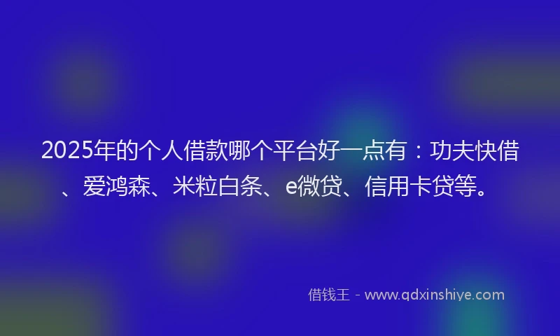 2025年的个人借款哪个平台好一点有：功夫快借、爱鸿森、米粒白条、e微贷、信用卡贷等。