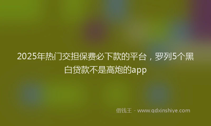 2025年热门交担保费必下款的平台，罗列5个黑白贷款不是高炮的app