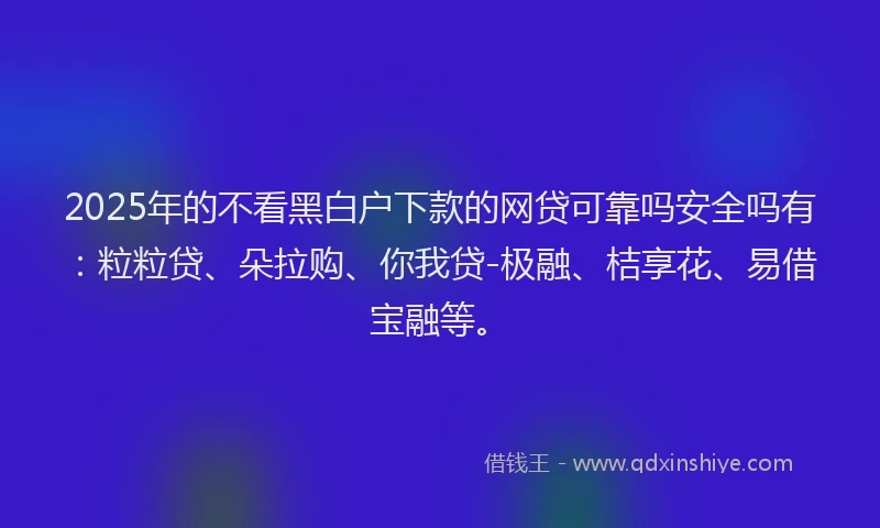 2025年的不看黑白户下款的网贷可靠吗安全吗有：粒粒贷、朵拉购、你我贷-极融、桔享花、易借宝融等。