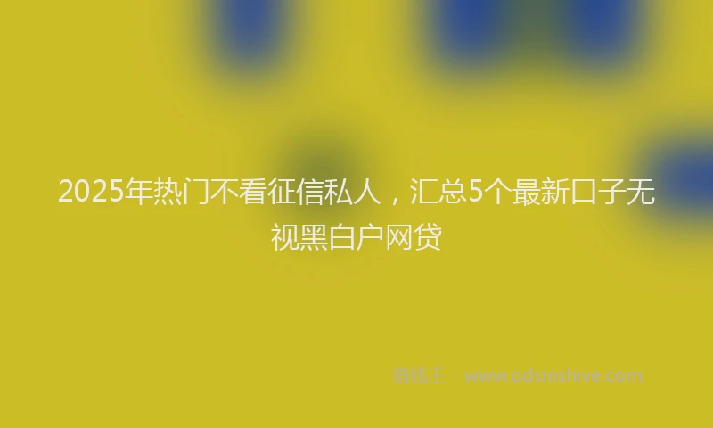 2025年热门不看征信私人，汇总5个最新口子无视黑白户网贷
