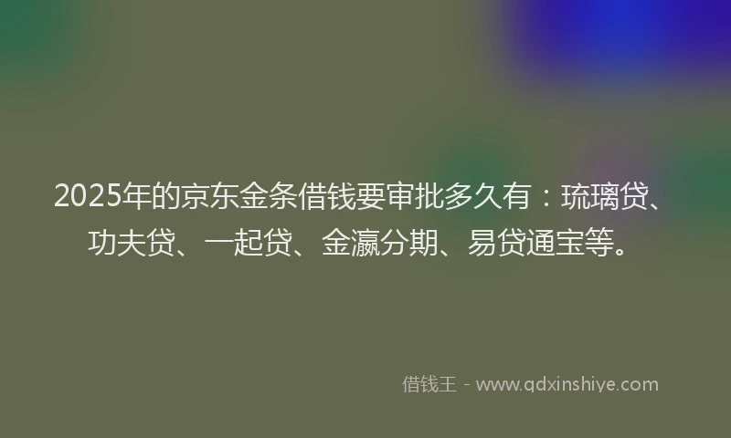 2025年的京东金条借钱要审批多久有：琉璃贷、功夫贷、一起贷、金瀛分期、易贷通宝等。