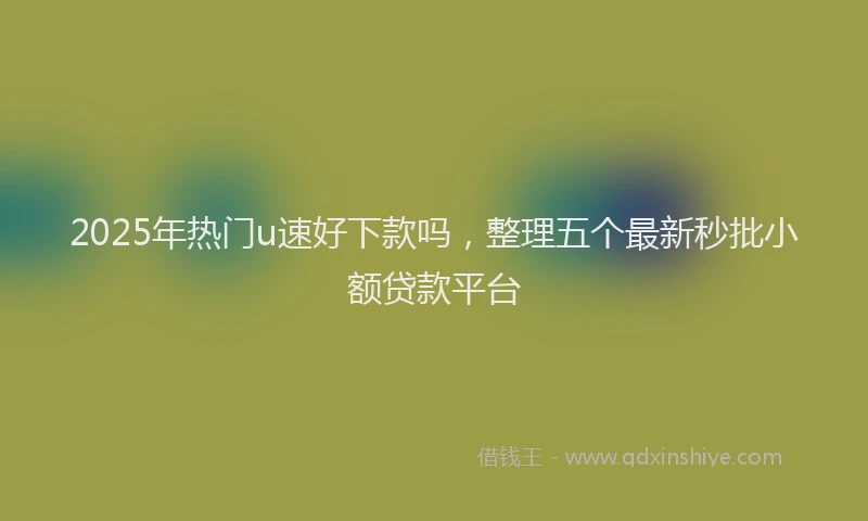2025年热门u速好下款吗，整理五个最新秒批小额贷款平台