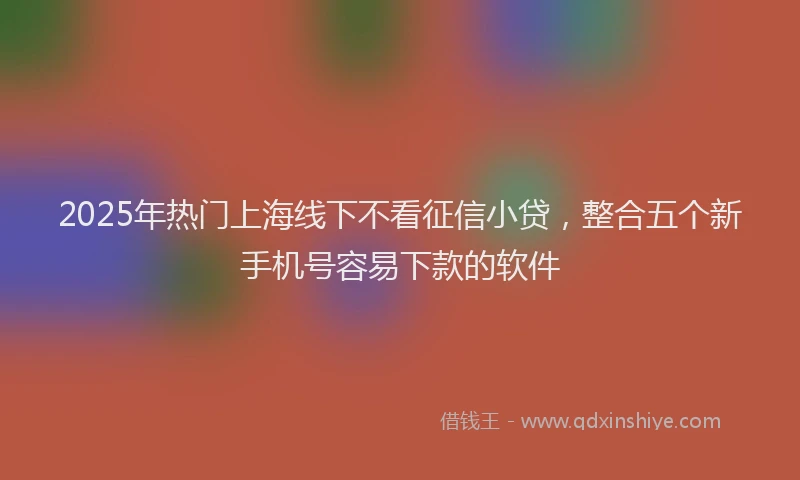 2025年热门上海线下不看征信小贷，整合五个新手机号容易下款的软件