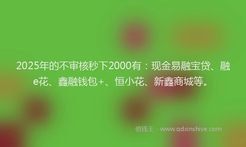 2025年的不审核秒下2000有：现金易融宝贷、融e花、鑫融钱包+、恒小花、新鑫商城等。