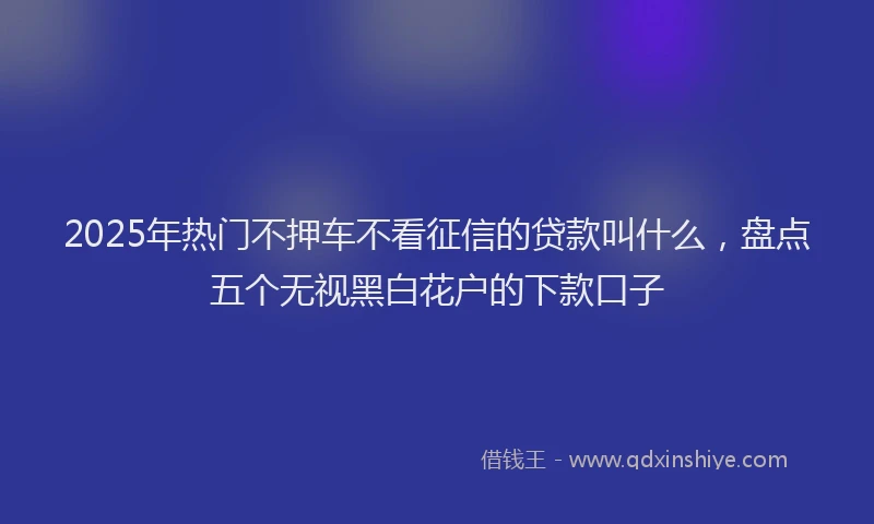 2025年热门不押车不看征信的贷款叫什么，盘点五个无视黑白花户的下款口子