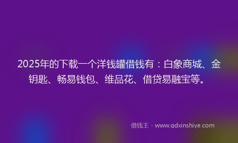 2025年的下载一个洋钱罐借钱有：白象商城、金钥匙、畅易钱包、维品花、借贷易融宝等。