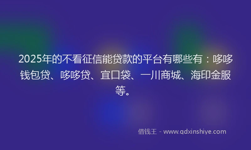 2025年的不看征信能贷款的平台有哪些有：哆哆钱包贷、哆哆贷、宜口袋、一川商城、海印金服等。