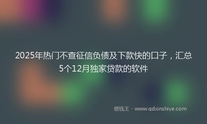 2025年热门不查征信负债及下款快的口子，汇总5个12月独家贷款的软件