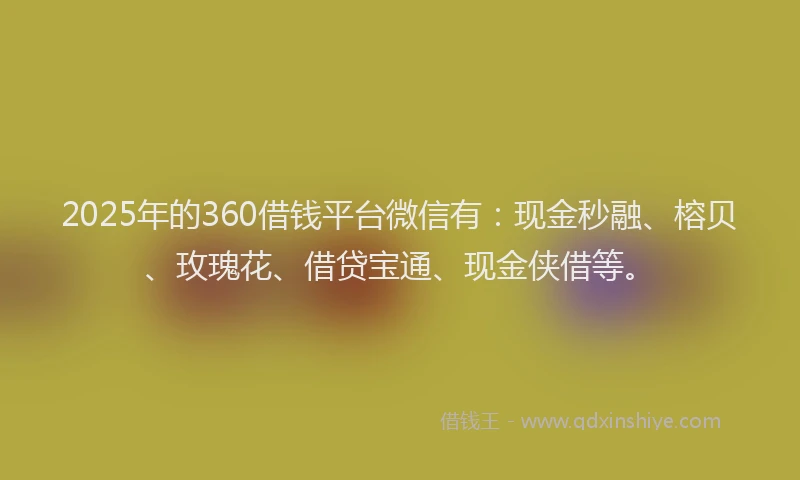 2025年的360借钱平台微信有：现金秒融、榕贝、玫瑰花、借贷宝通、现金侠借等。