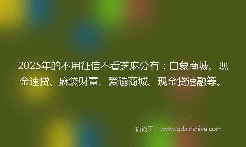 2025年的不用征信不看芝麻分有：白象商城、现金速贷、麻袋财富、爱蹦商城、现金贷速融等。