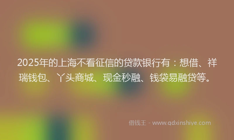 2025年的上海不看征信的贷款银行有：想借、祥瑞钱包、丫头商城、现金秒融、钱袋易融贷等。