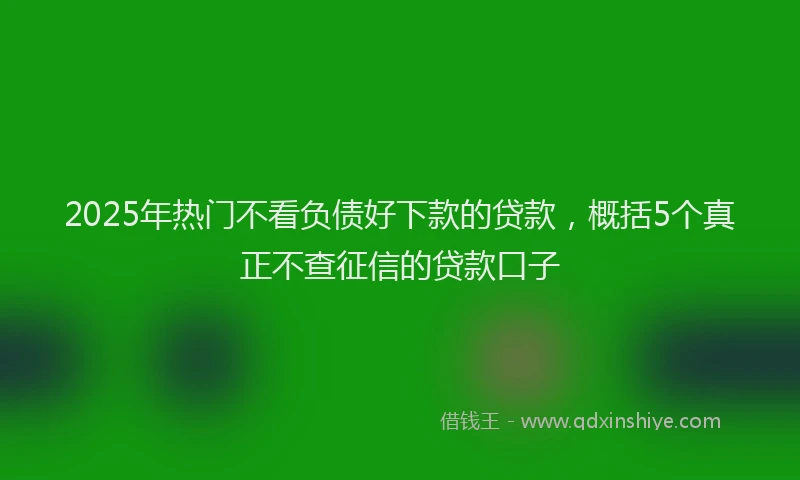 2025年热门不看负债好下款的贷款，概括5个真正不查征信的贷款口子