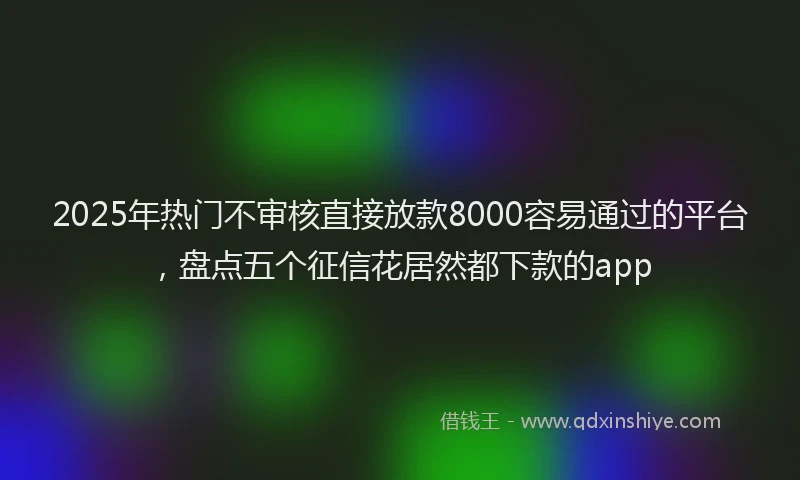 2025年热门不审核直接放款8000容易通过的平台，盘点五个征信花居然都下款的app
