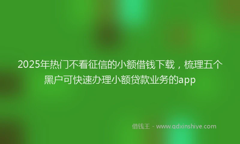 2025年热门不看征信的小额借钱下载，梳理五个黑户可快速办理小额贷款业务的app