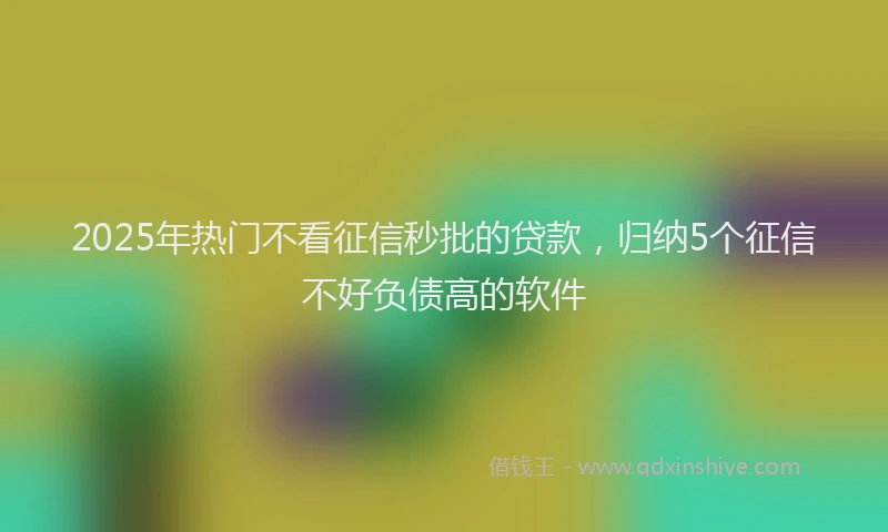 2025年热门不看征信秒批的贷款，归纳5个征信不好负债高的软件