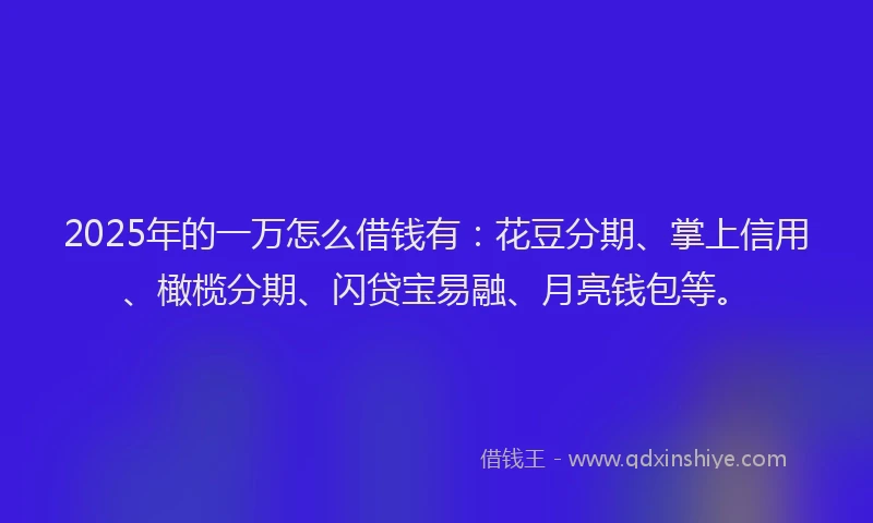 2025年的一万怎么借钱有：花豆分期、掌上信用、橄榄分期、闪贷宝易融、月亮钱包等。