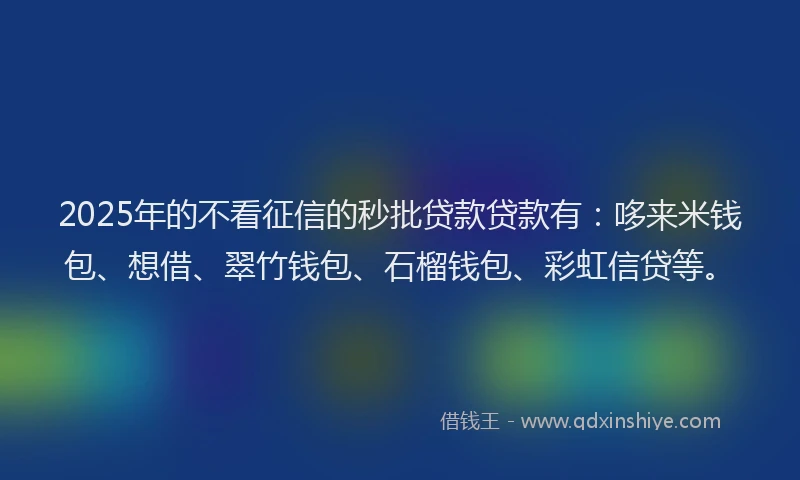 2025年的不看征信的秒批贷款贷款有：哆来米钱包、想借、翠竹钱包、石榴钱包、彩虹信贷等。