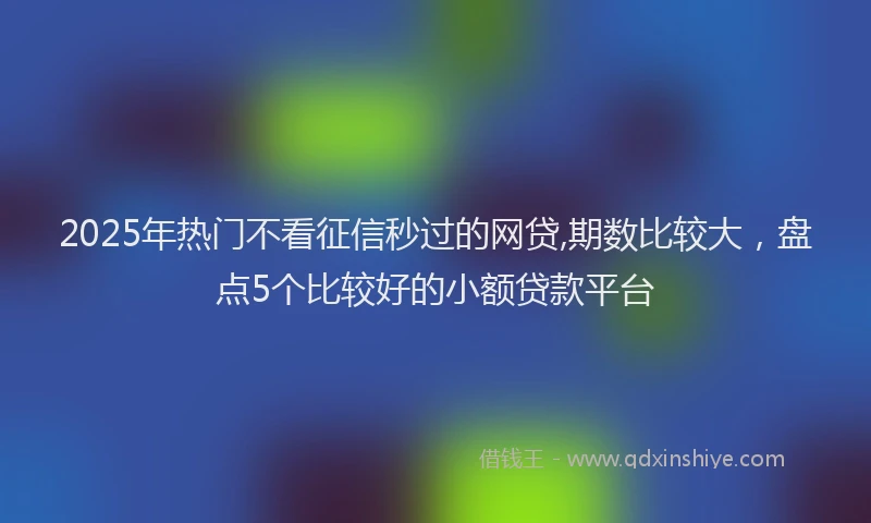2025年热门不看征信秒过的网贷,期数比较大，盘点5个比较好的小额贷款平台