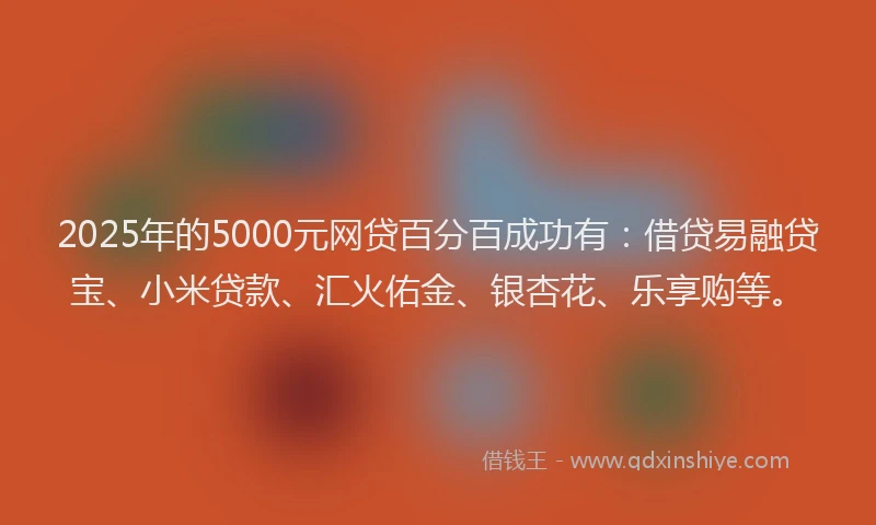 2025年的5000元网贷百分百成功有：借贷易融贷宝、小米贷款、汇火佑金、银杏花、乐享购等。