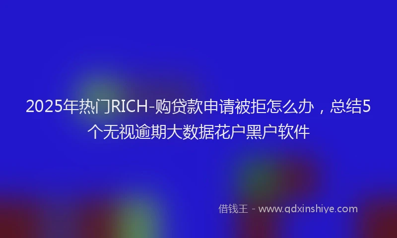 2025年热门RICH-购贷款申请被拒怎么办，总结5个无视逾期大数据花户黑户软件
