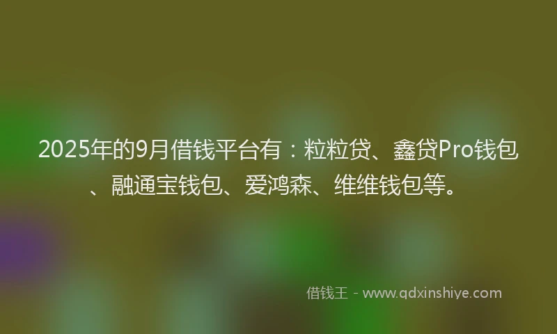 2025年的9月借钱平台有：粒粒贷、鑫贷Pro钱包、融通宝钱包、爱鸿森、维维钱包等。