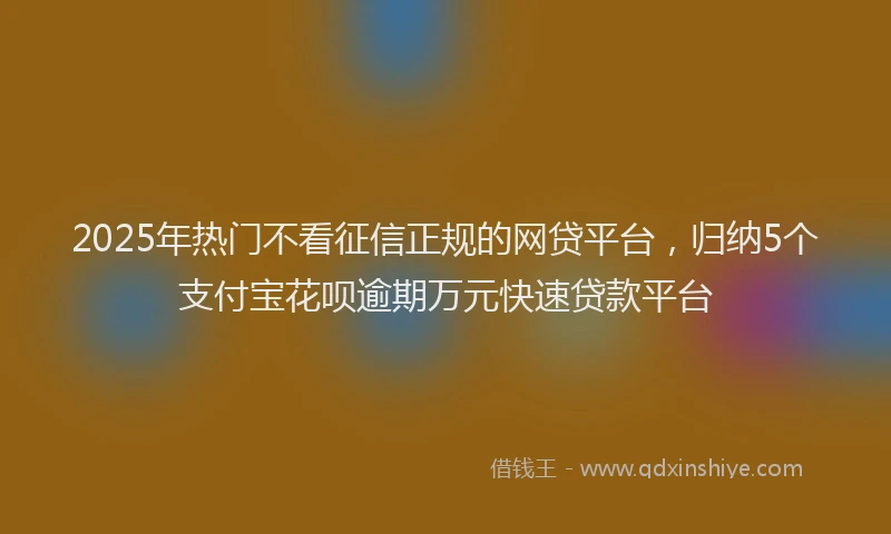 2025年热门不看征信正规的网贷平台，归纳5个支付宝花呗逾期万元快速贷款平台