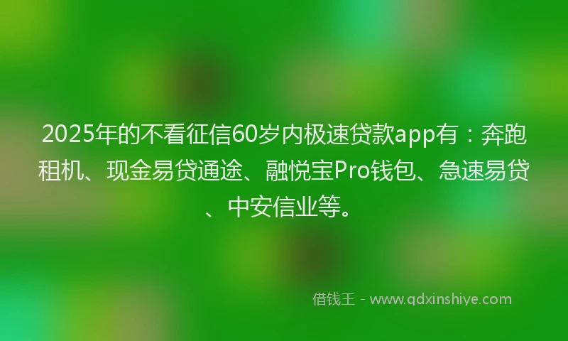 2025年的不看征信60岁内极速贷款app有：奔跑租机、现金易贷通途、融悦宝Pro钱包、急速易贷、中安信业等。