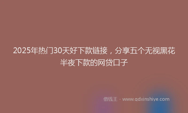 2025年热门30天好下款链接，分享五个无视黑花半夜下款的网贷口子