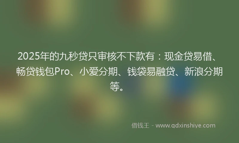 2025年的九秒贷只审核不下款有：现金贷易借、畅贷钱包Pro、小爱分期、钱袋易融贷、新浪分期等。