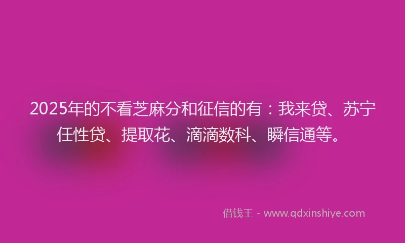 2025年的不看芝麻分和征信的有：我来贷、苏宁任性贷、提取花、滴滴数科、瞬信通等。