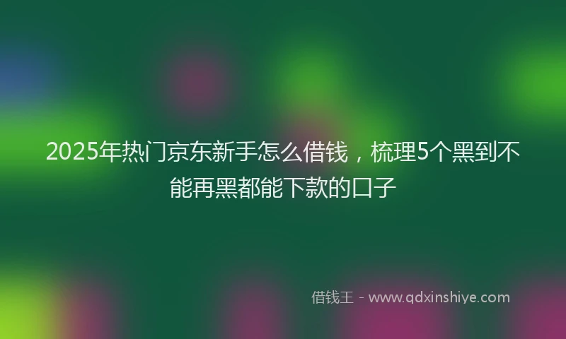 2025年热门京东新手怎么借钱，梳理5个黑到不能再黑都能下款的口子