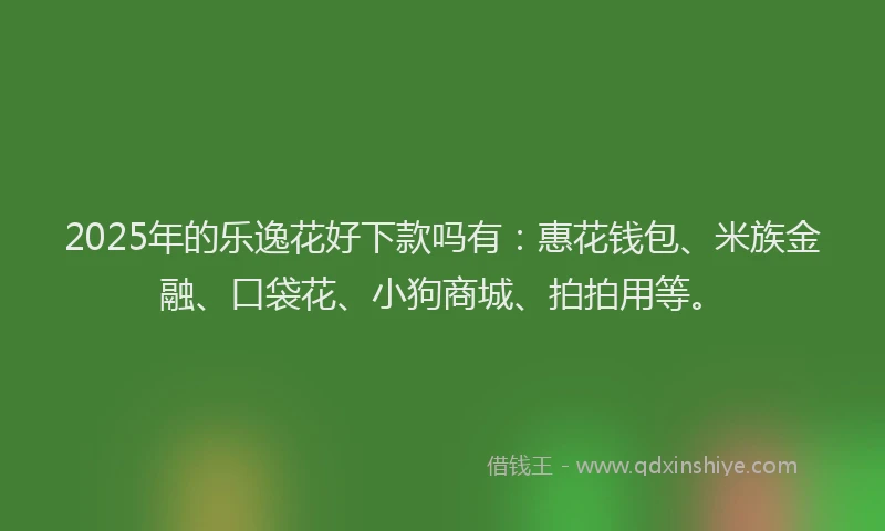 2025年的乐逸花好下款吗有：惠花钱包、米族金融、口袋花、小狗商城、拍拍用等。
