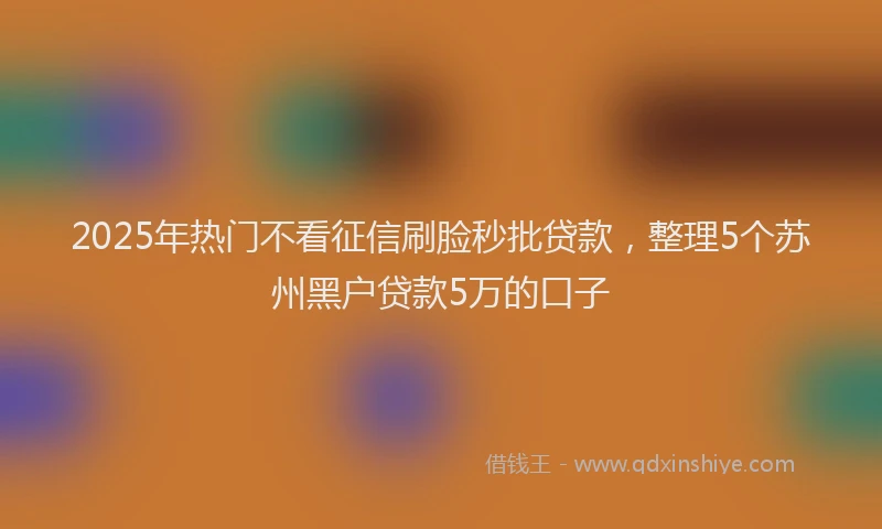 2025年热门不看征信刷脸秒批贷款，整理5个苏州黑户贷款5万的口子