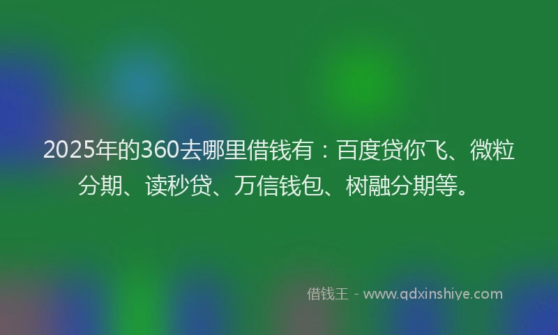 2025年的360去哪里借钱有：百度贷你飞、微粒分期、读秒贷、万信钱包、树融分期等。