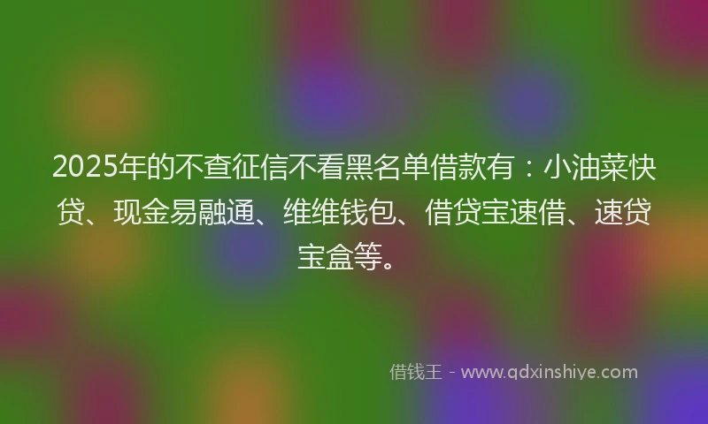2025年的不查征信不看黑名单借款有：小油菜快贷、现金易融通、维维钱包、借贷宝速借、速贷宝盒等。