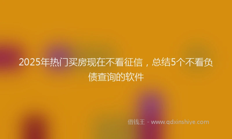 2025年热门买房现在不看征信，总结5个不看负债查询的软件
