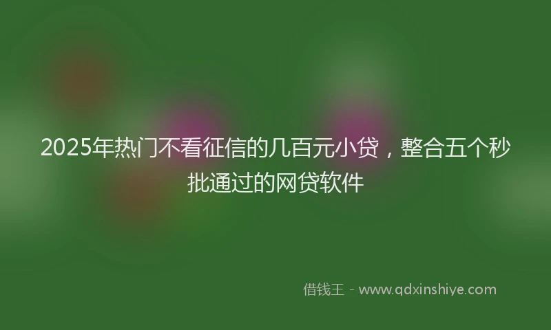 2025年热门不看征信的几百元小贷，整合五个秒批通过的网贷软件