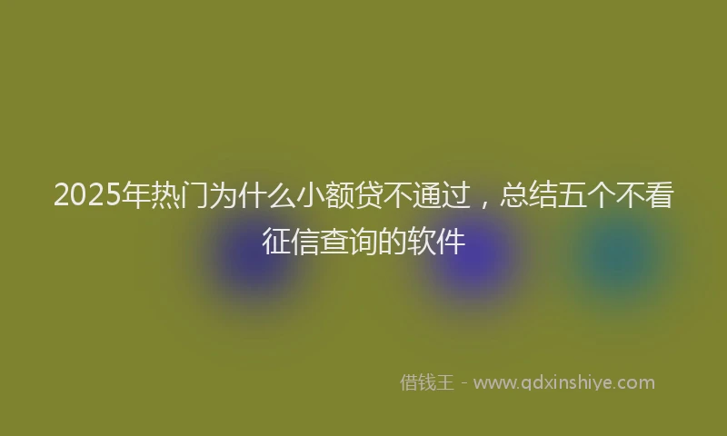 2025年热门为什么小额贷不通过，总结五个不看征信查询的软件