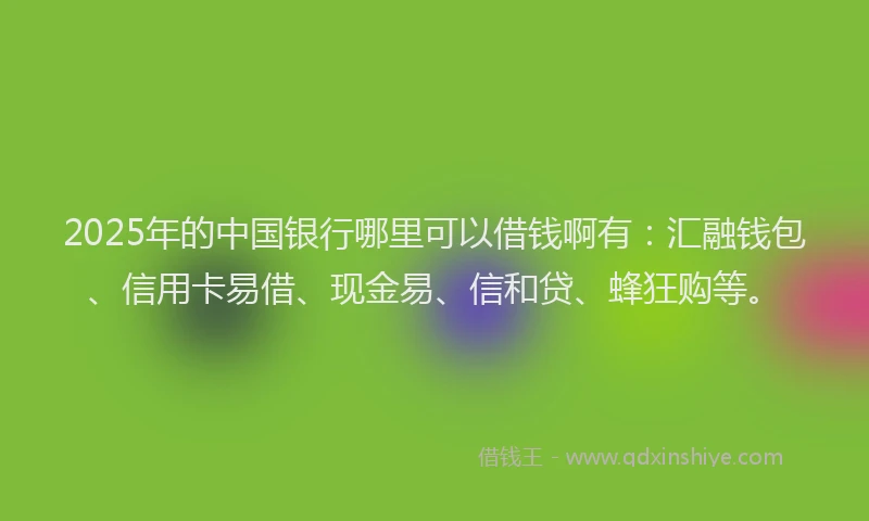 2025年的中国银行哪里可以借钱啊有：汇融钱包、信用卡易借、现金易、信和贷、蜂狂购等。