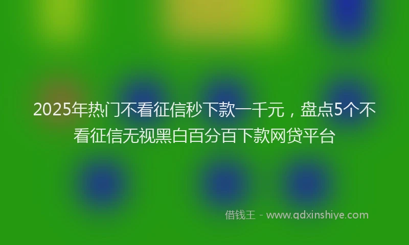 2025年热门不看征信秒下款一千元，盘点5个不看征信无视黑白百分百下款网贷平台