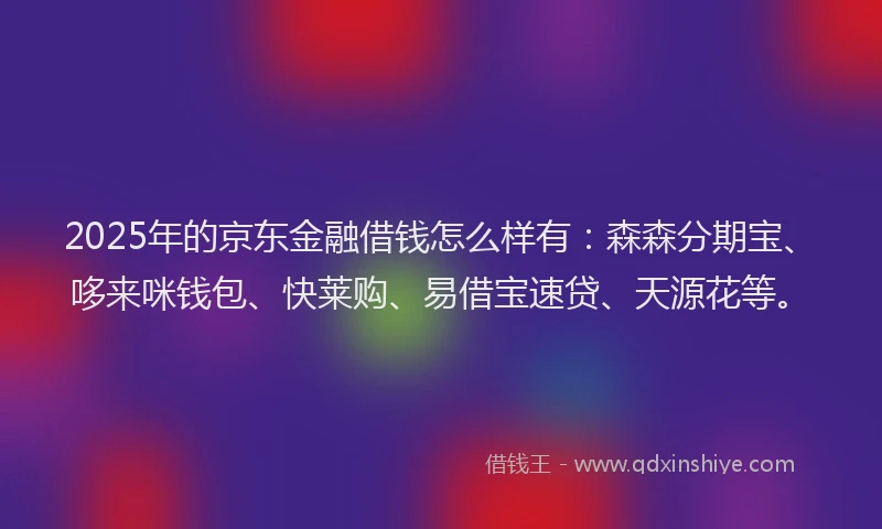2025年的京东金融借钱怎么样有：森森分期宝、哆来咪钱包、快莱购、易借宝速贷、天源花等。