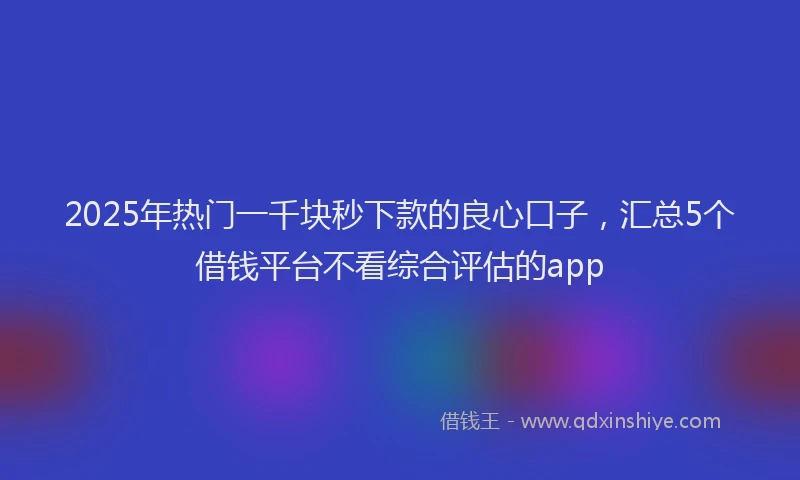 2025年热门一千块秒下款的良心口子，汇总5个借钱平台不看综合评估的app